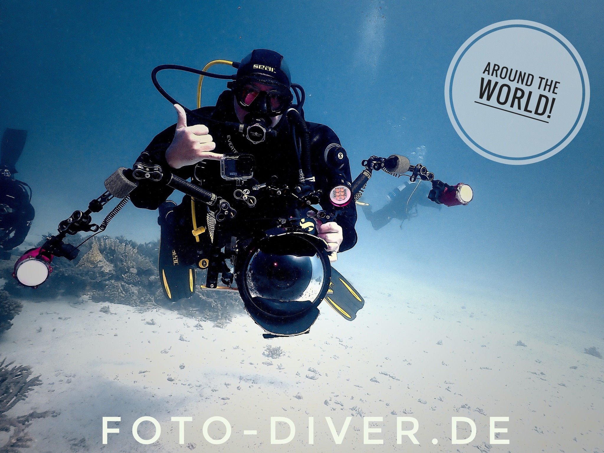 Clownfisch unter Wasser